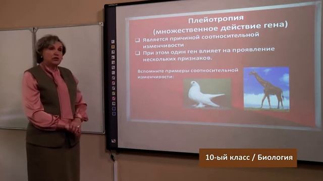 “Dərs Vaxtı”: 10-cu Sinif Dərsləri ( Rus Bölməsi) (29.04.2020)