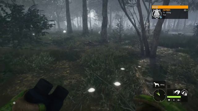 First Hunt on Mississippi Acres Preserve! [Early Access] смотреть онлайн