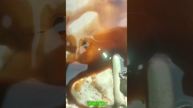 Приколы сто....Сто моментов юмора №21 #приколы #развлечения #смех #юмор #смешныевидео #automobile смотреть онлайн