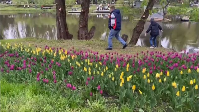 Репортаж с фестиваля «Река в цвету» смотреть онлайн