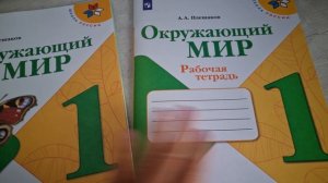 КНИГА и РАБОЧАЯ тетрадь ОКРУЖАЮЩИЙ МИР 1 класс, 1 часть, издательство ПРОСВЕЩЕНИЕ,  Школа России.