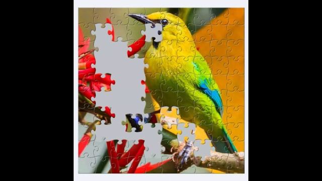 Relax puzzle with bird song and relaxing music - gameplay смотреть онлайн