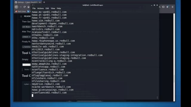 Black-Dragon | Web Reconnaissance смотреть онлайн