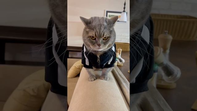 взгляд орла.. смотреть онлайн