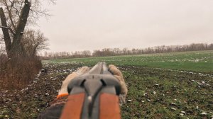 ОХОТА НА ЗАЙЦА