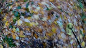 Проверка  МД "Крот Про" на 18750 Гц  с прошивкой "КРОТ ПРО+"  (до 20 кГц).