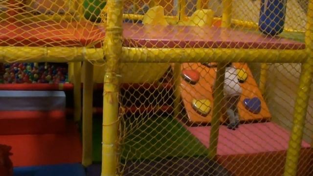 гуляем в КОНТАКТНОМ ЗООПАРКЕ \ часть 2 детская ИГРОВАЯ КОМНАТА смотреть онлайн