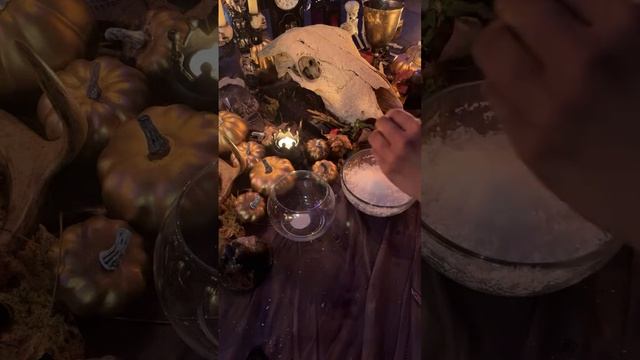 Happiest of Samhain 2023! From the Witch! смотреть онлайн