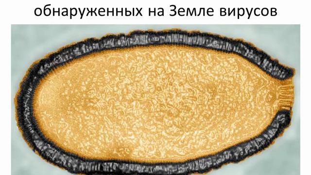 Что такое вирус