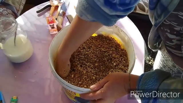 Куры не несутся ? //Дрожжевание Корма для кур / Период линьки у кур// Дрожжи для кур несушек смотреть онлайн