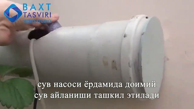 Қулпнайни гидропоника усулида етиштириш -- Клубника на гидропонике в теплице смотреть онлайн