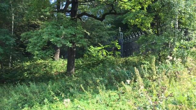 Мастерство и Талант