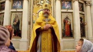 Воскресная проповедь в Храме Вознесения Господня 20 октября  Протоиерей Павел Сорочинский