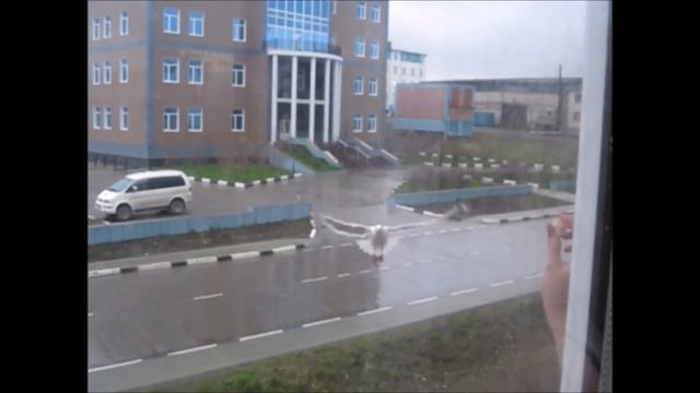 Кто работает - тот ест! смотреть онлайн