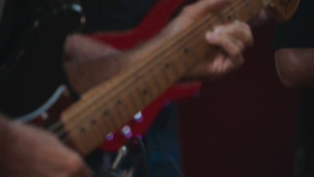 Poison Dart Frogs: Divin' Duck Blues (Taj Mahal) смотреть онлайн