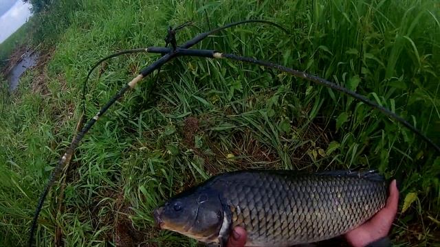 Рыбалка на подъёмник ловля сазанов смотреть онлайн