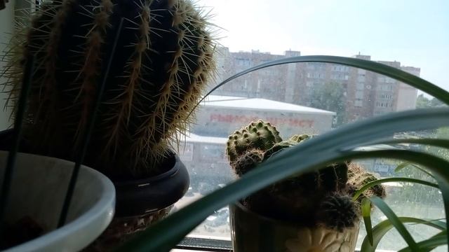 анонс ХlAOMl REDMl NOТЕ 12 за 100 рублей! смотреть онлайн