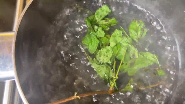 VERVAIN TEA Health Benefits | How to make Vervain Tea смотреть онлайн