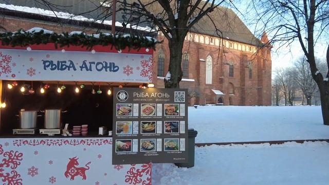 Калининград, Остров Канта, забрали кота, закупка продуктов