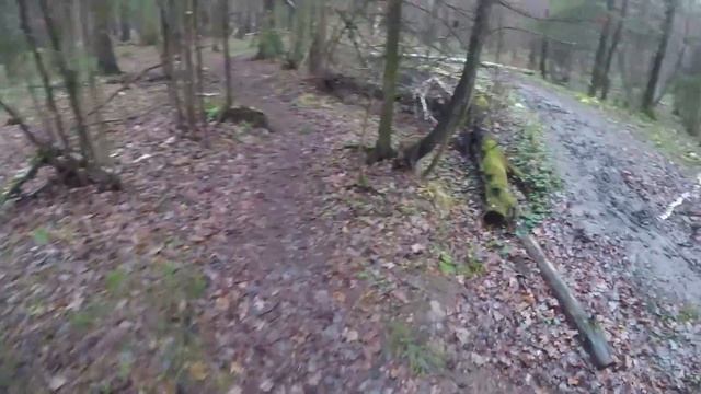 Парк Лосиный Остров смотреть онлайн