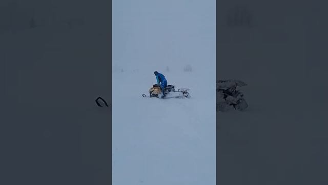 Ski doo tundra 550 смотреть онлайн