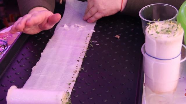 Астры Взойдут Щеткой! Посев Астры Без Пикировки.