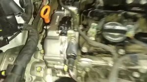 Прогретый двигатель Haval F7/x с новыми клапанами регулировки фаз