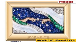 ОБЗОР Nikon Nikkor Z MC 105mm f/2.8 VR S - А можно и для портрета и для макро?