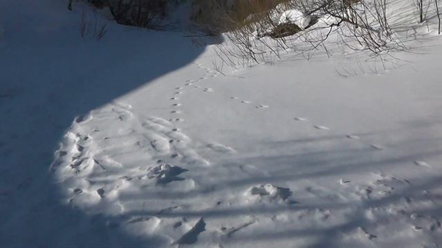 Басандайка Томская область смотреть онлайн
