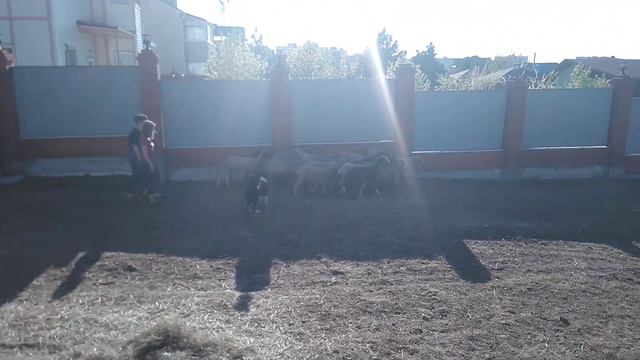 Айзек ТПИ смотреть онлайн