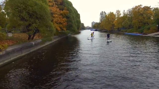 САП обучение смотреть онлайн