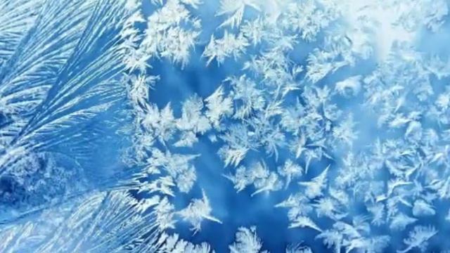 Зимнии лес и вода смотреть онлайн