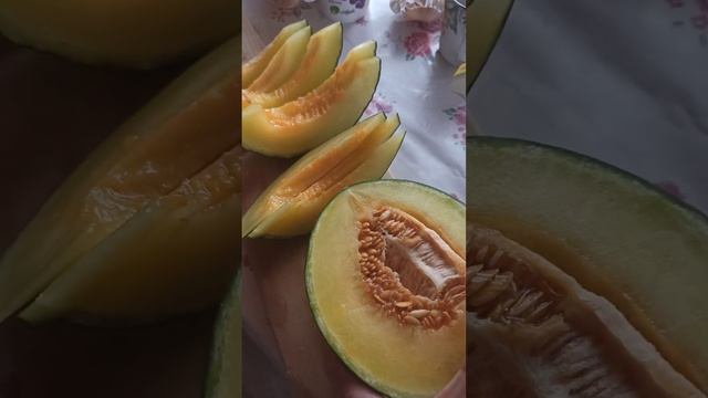 Супер дыня Зелëная лягушка! Лучик лета в зимнюю стужу. :) смотреть онлайн