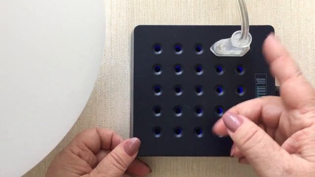 Розеткус - необычный и недорогой подарок, который удивит именинника. смотреть онлайн