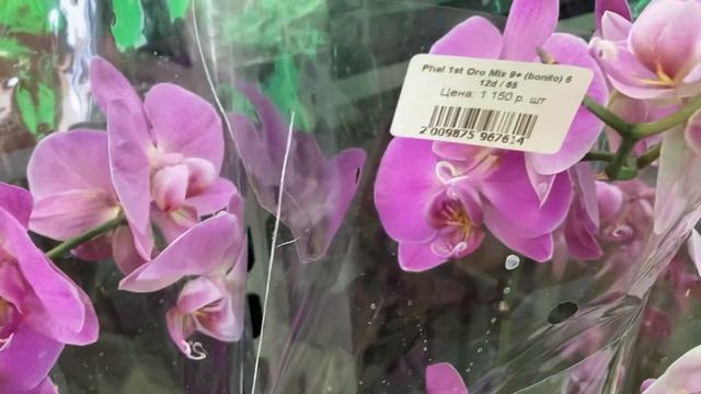 Филиал СЦ «Rost-ок». Гор. Краснодар. Часть первая. 07.07.2023 смотреть онлайн