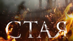 СТАЯ 1 ЧАСТЬ| СЕРИАЛ | 2005