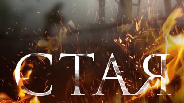 СТАЯ 1 ЧАСТЬ| СЕРИАЛ | 2005