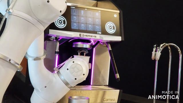 Views Of South Korea/Seoul Forest Park/Starfield COEX Mall/National Museum Of Korea