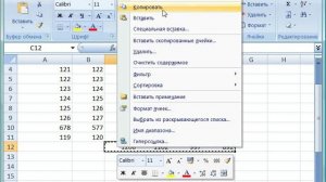 Преобразование формул в числовой формат в Excel 2007 (32/46)