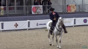 Андалузские лошади на Красной площади 07.09.2015 - Выездка, танец-квартет