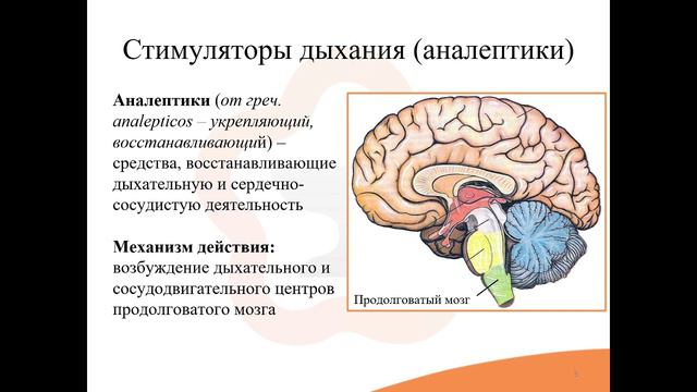 17.1. Средства, влияющие на дыхательную систему. Стимуляторы дыхания (аналептики) смотреть онлайн
