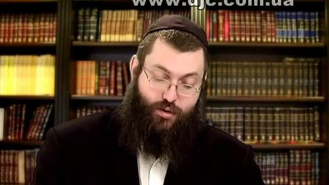 Бэар, часть 4 смотреть онлайн