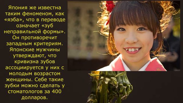 Красота страшная сила! смотреть онлайн
