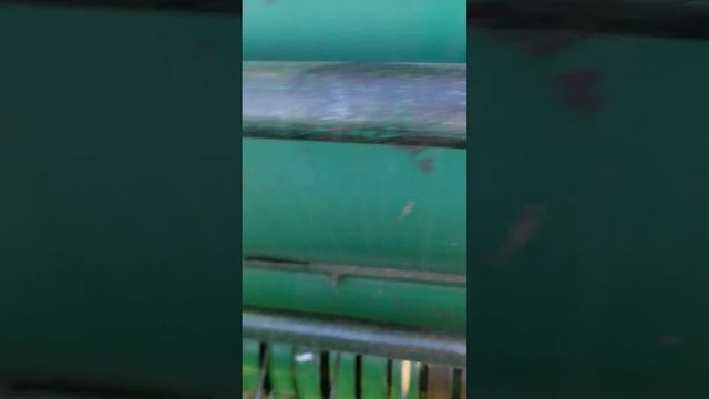 прф 145 что делать если перескочила цепь смотреть онлайн