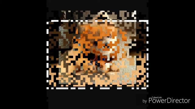 Щенки породы Бу. смотреть онлайн