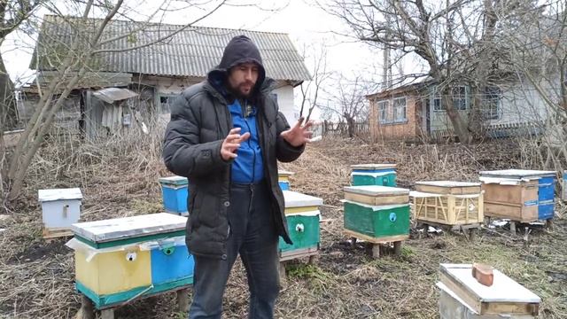 Восьмирамочный улей Хороший во многом. Легкий улей для пчел и меда на вашу пасек смотреть онлайн