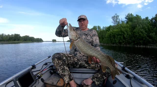 За хищником в начале лета. Рыбалка со спиннингом. Рыбалка в Самарской области. смотреть онлайн