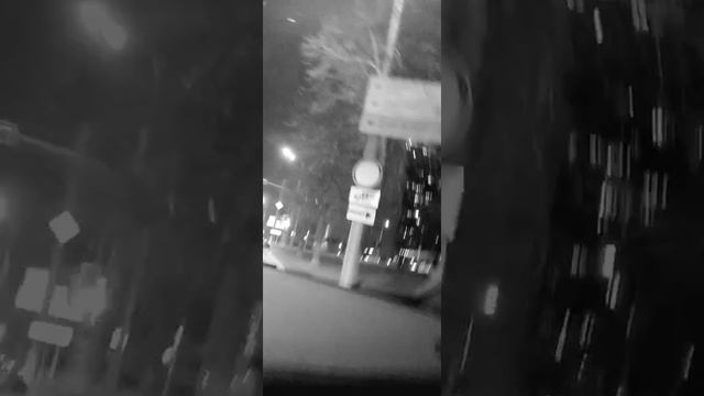 ЛУНА ЛУНА ЦВЕТЫ ЦВЕТЫ смотреть онлайн