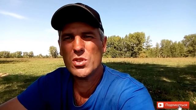 как приструнить хряка//как меня чуть не порвал хряк смотреть онлайн