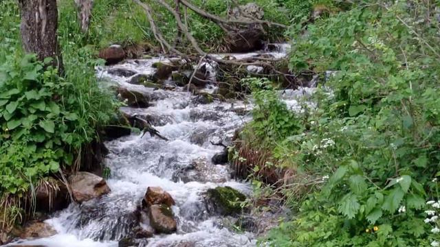 Немного фото Заилийского Алатау. смотреть онлайн